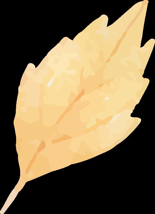 DƬ